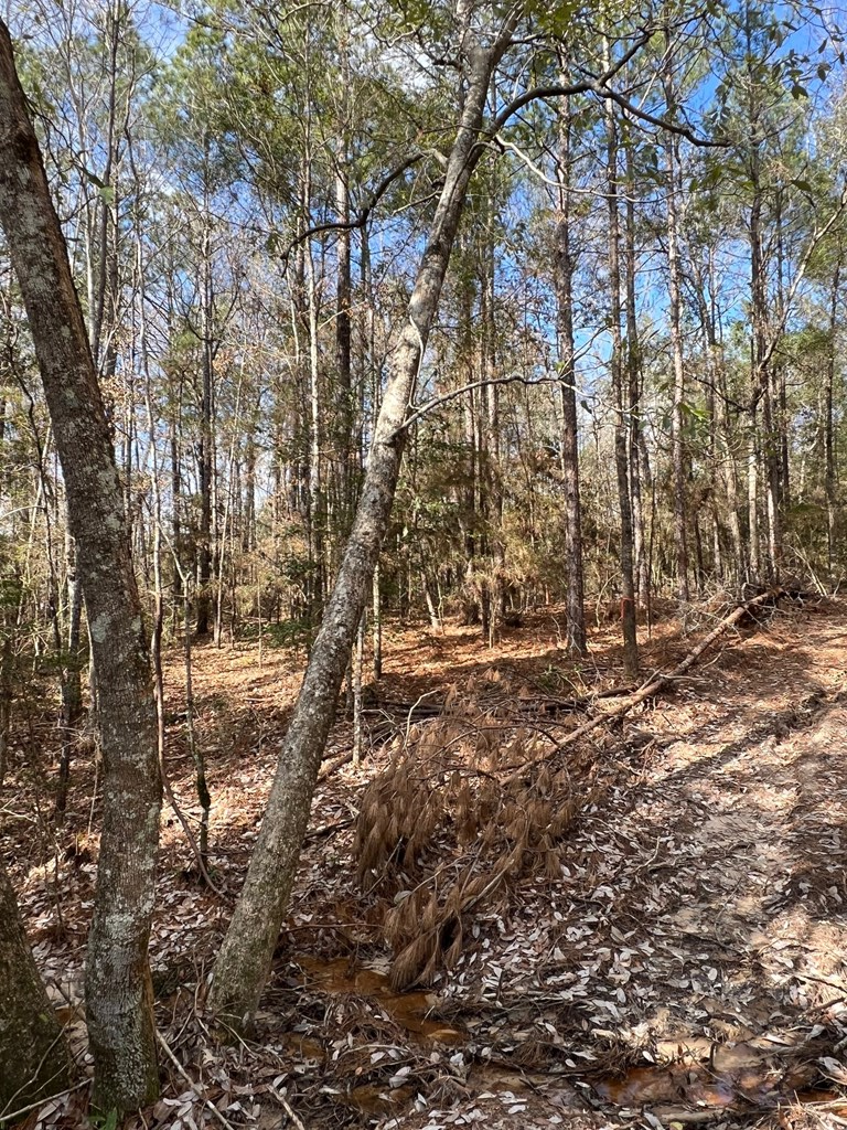 Id 5053 Property Photo 5