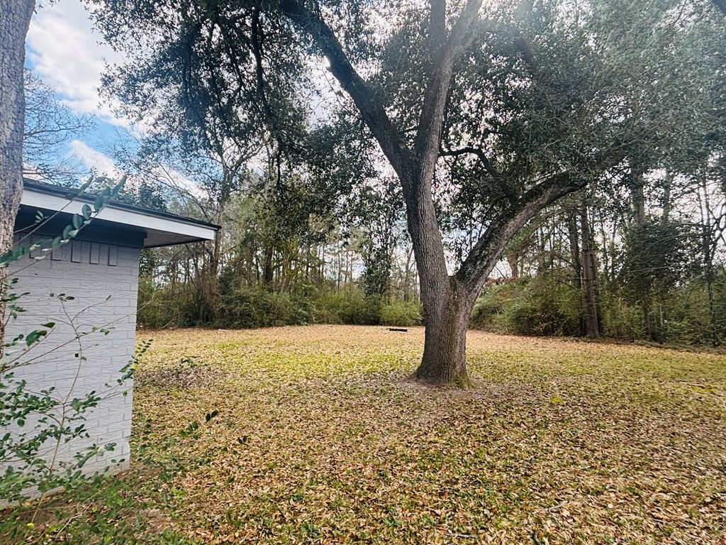 312 Magnolia Property Photo 6