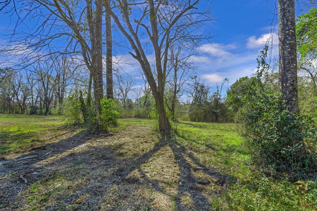 15554 Fm 777 Property Photo 27