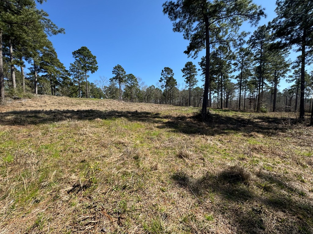 002 Fm 83 Property Photo 3