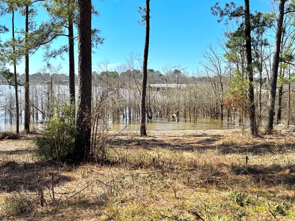 002 Fm 83 Property Photo 4