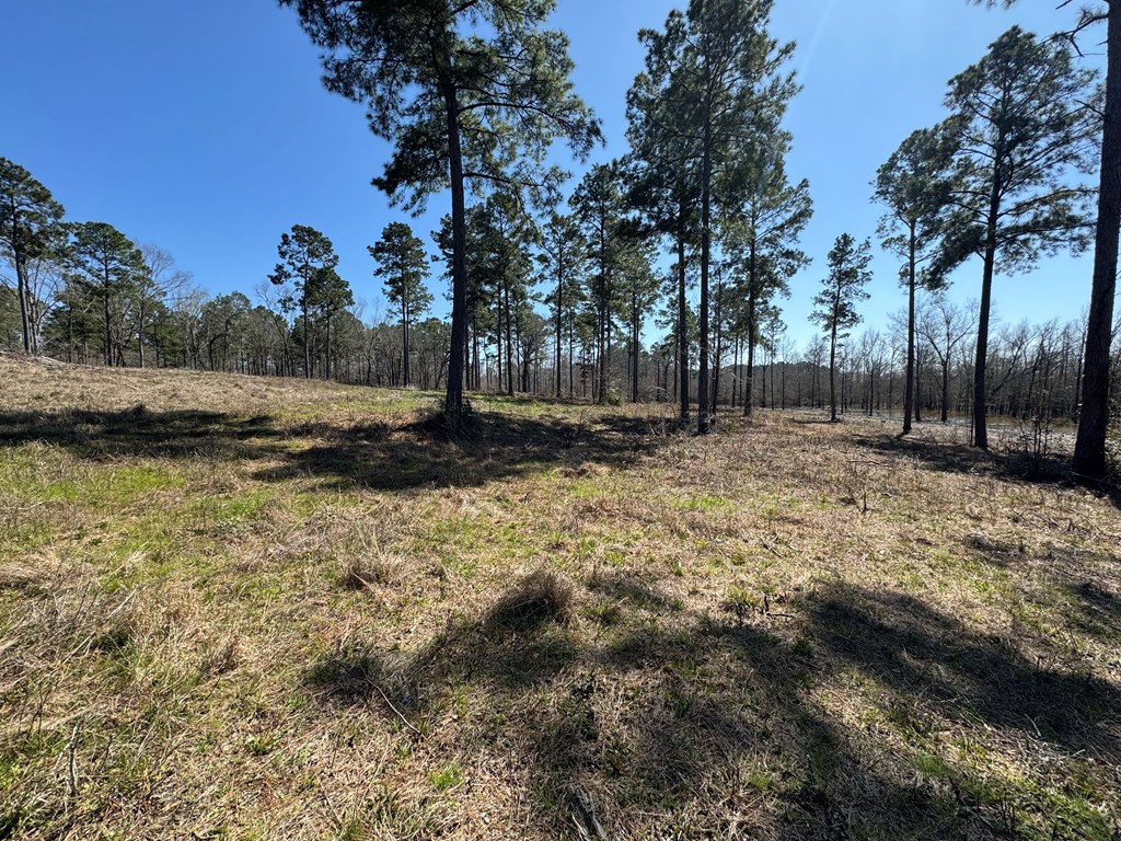 002 Fm 83 Property Photo 6