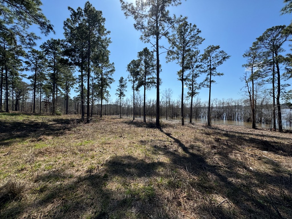 002 Fm 83 Property Photo 10