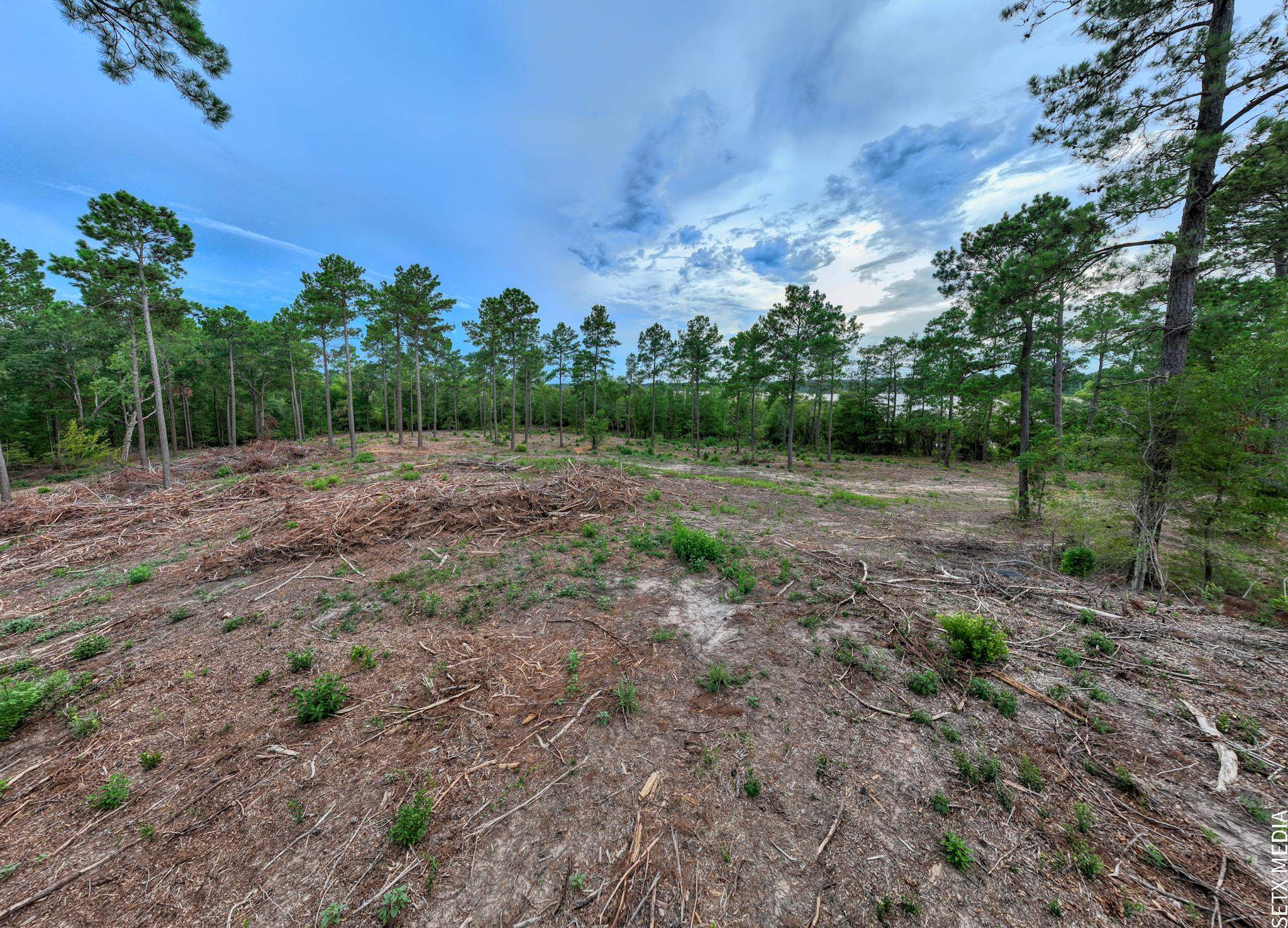 003 Fm 83 Property Photo 22