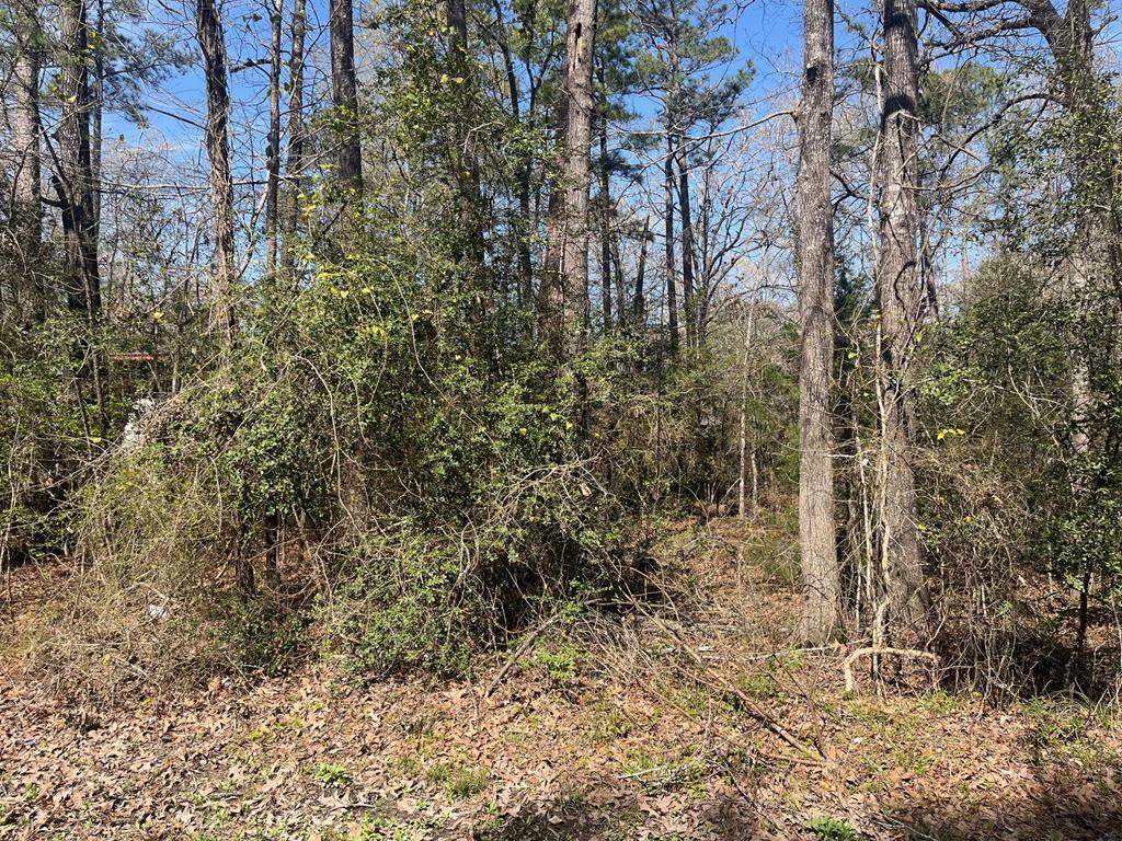 3-229 Meridian Property Photo 1