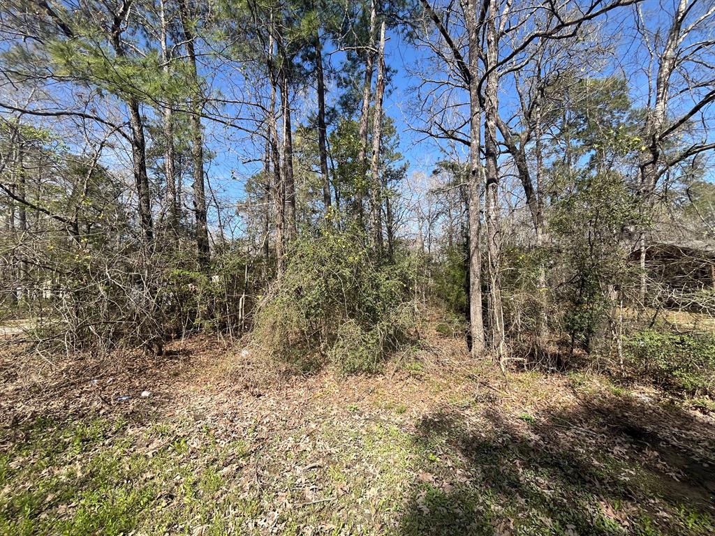3-229 Meridian Property Photo 4