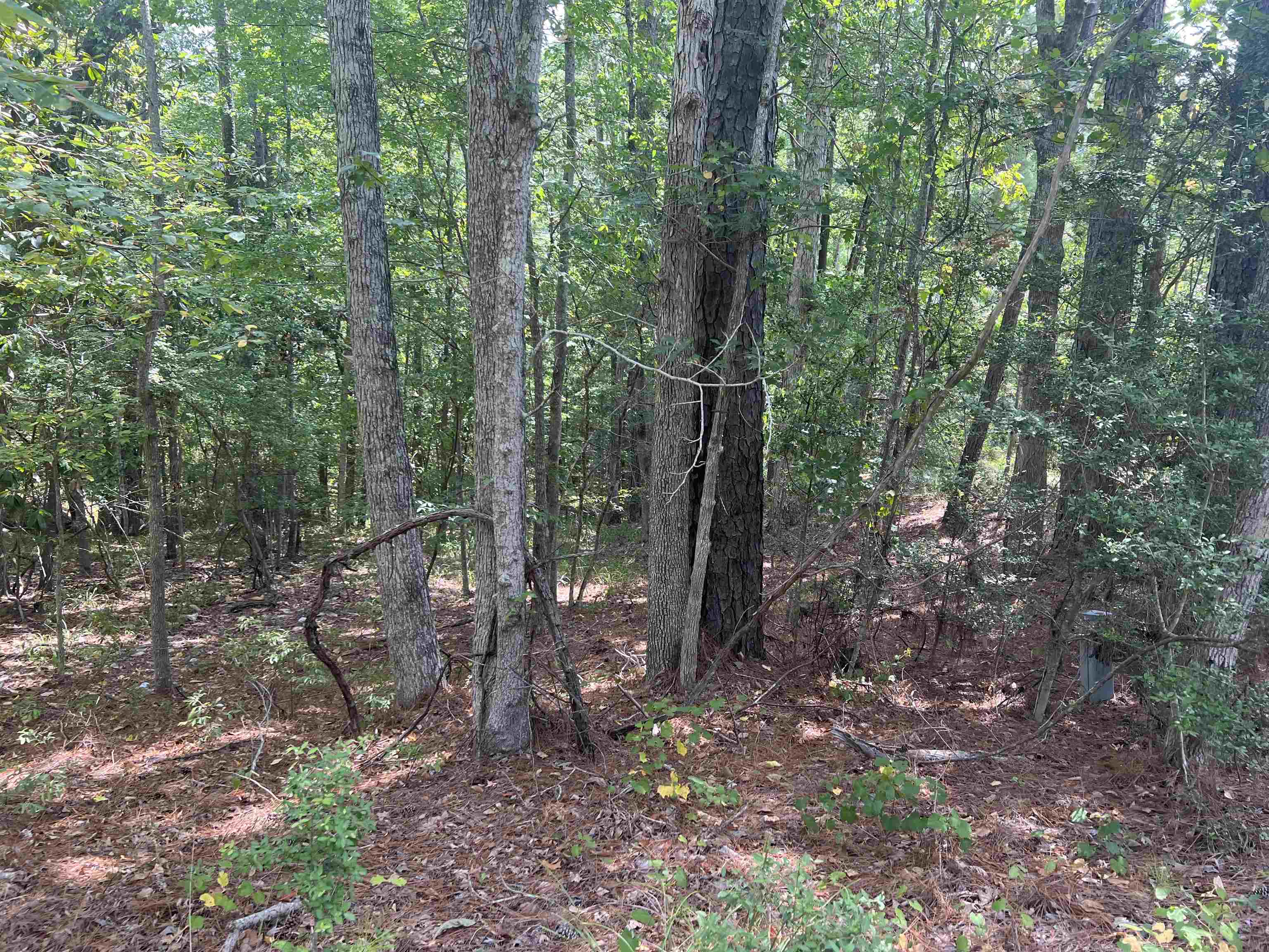 57 Shank Drive Property Photo 1