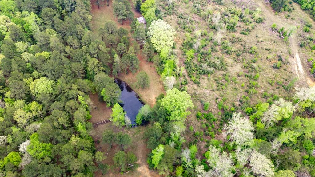 12023 Hwy 21 West Property Photo 1