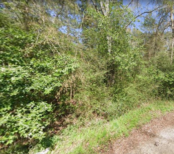 175 Lakeview Lane Property Photo 1