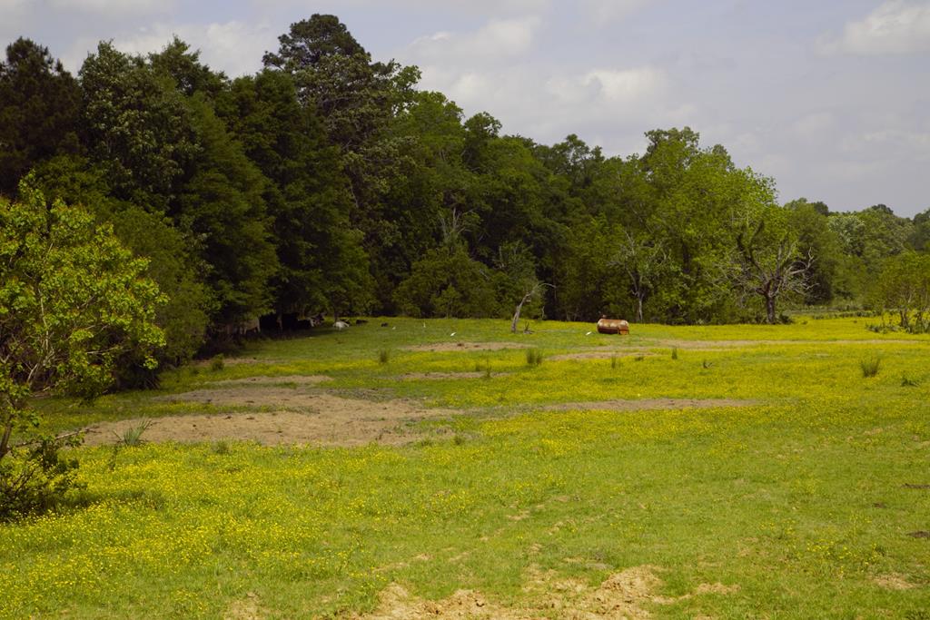 350 Rotan Property Photo 2