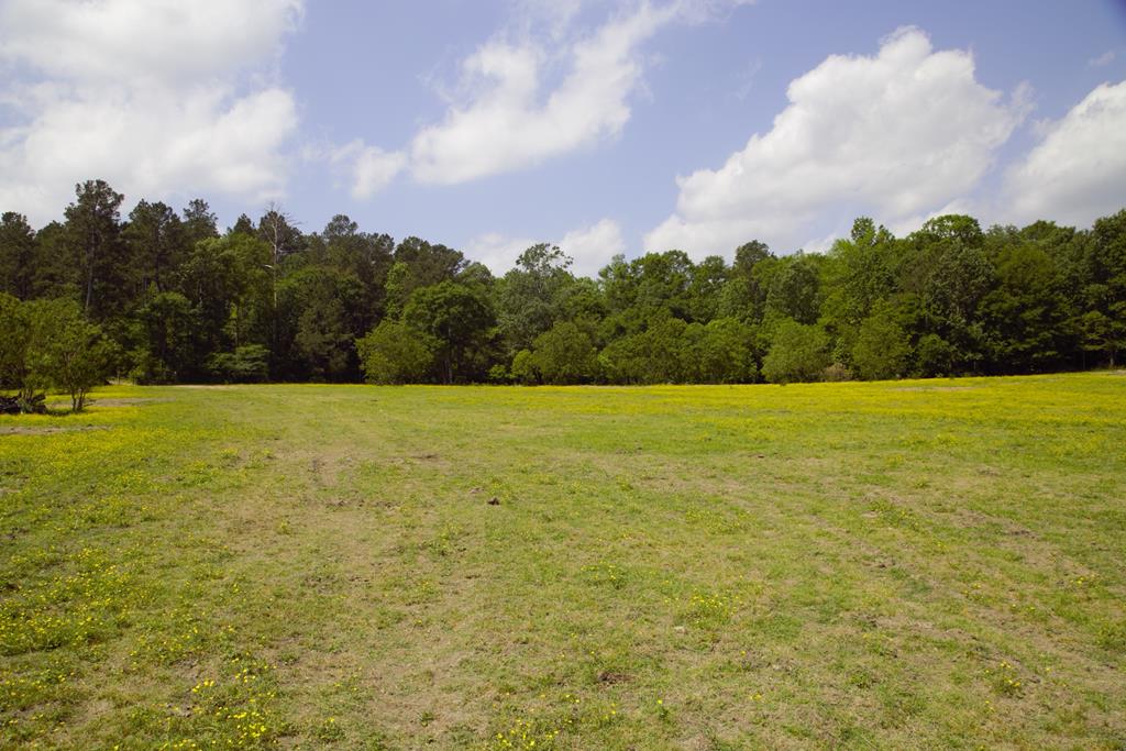 350 Rotan Property Photo 5