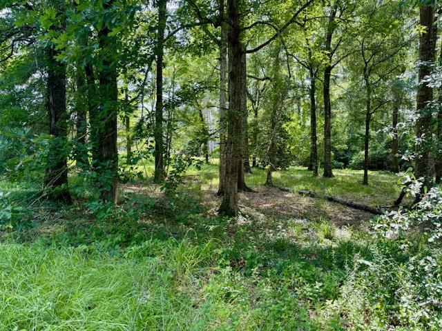 Lot 1 Hunterwood Dr Property Photo 1