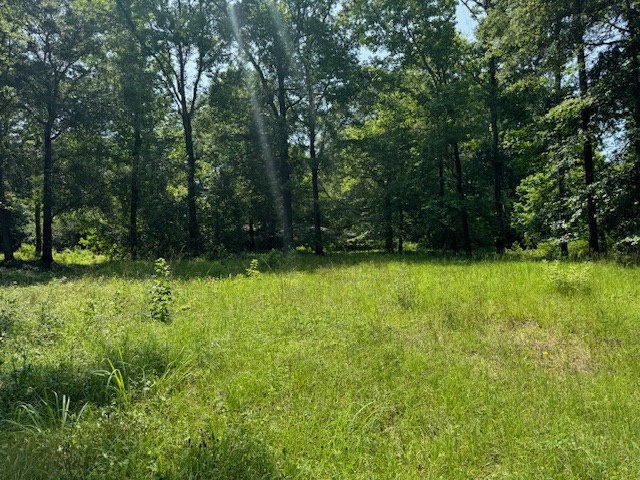 Lot 3 Hunterwood Dr Property Photo 4