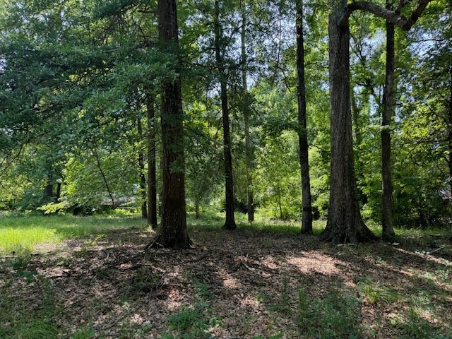 Lot 3 Hunterwood Dr Property Photo 5