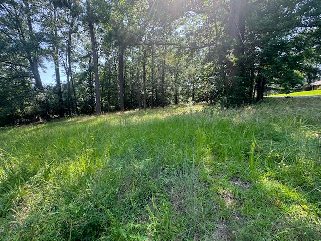 Lot 40 Hunterwood Dr Property Photo 1
