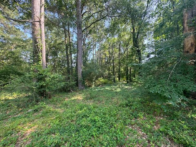 Lot 41 Quail Ridge Property Photo 1