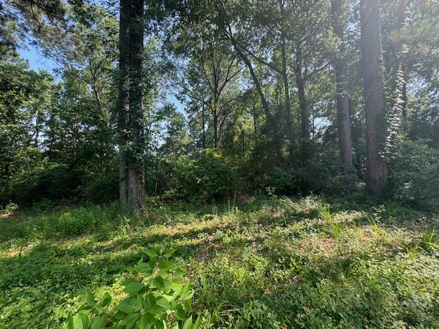 Lot 41 Quail Ridge Property Photo 2