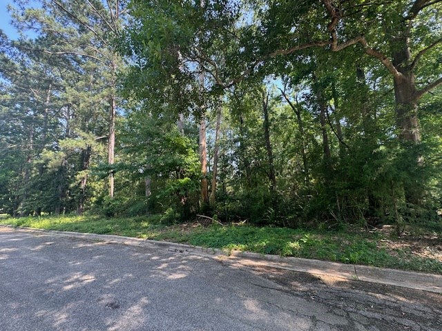Lot 41 Quail Ridge Property Photo 4