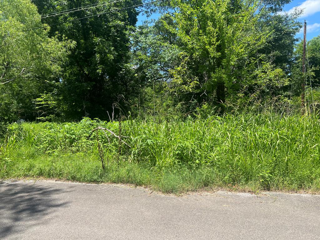 1311 Approx. Branch Property Photo 1