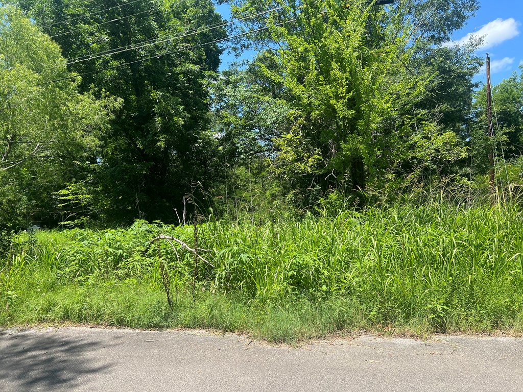 1311 Approx. Branch Property Photo 2