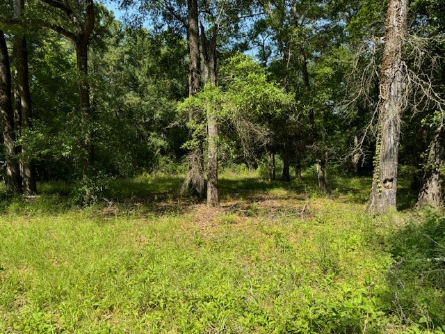 Lot 76 Hunterwood Dr Property Photo 2