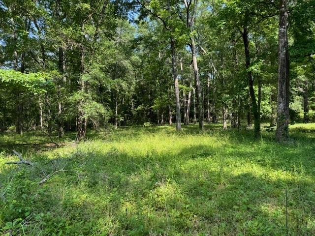Lot 76 Hunterwood Dr Property Photo 3