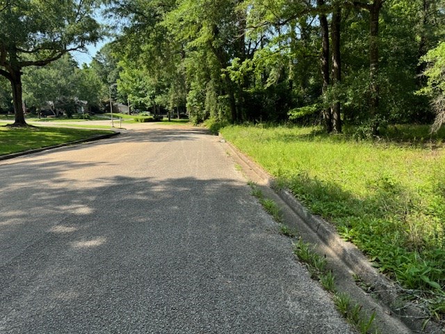 Lot 76 Hunterwood Dr Property Photo 4