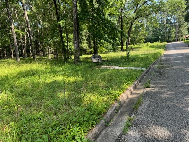 Lot 76 Hunterwood Dr Property Photo 5