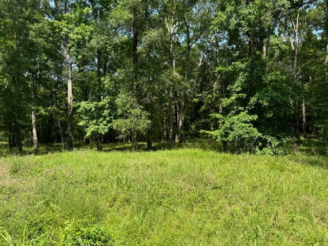 Lot 77 Hunterwood Dr Property Photo 2