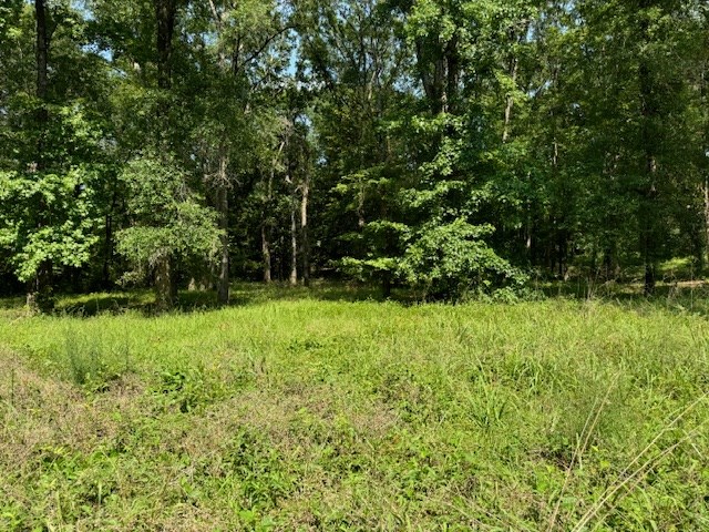 Lot 77 Hunterwood Dr Property Photo 3