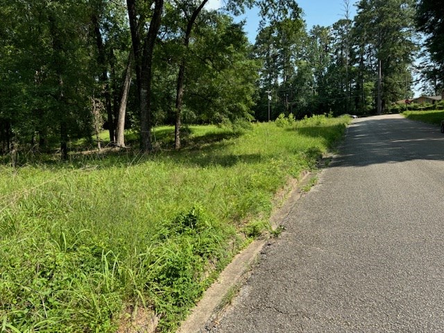 Lot 77 Hunterwood Dr Property Photo 4