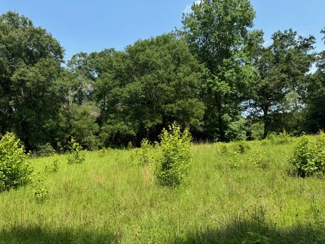 Lot 79 Hunterwood Dr Property Photo 2