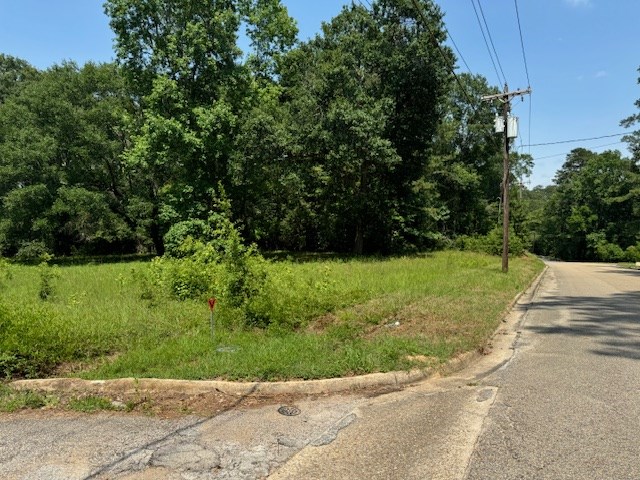 Lot 79 Hunterwood Dr Property Photo 3