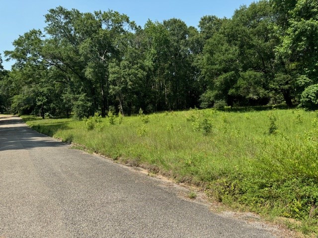 Lot 79 Hunterwood Dr Property Photo 4