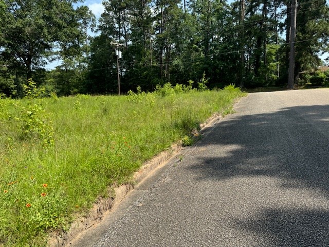 Lot 79 Hunterwood Dr Property Photo 5