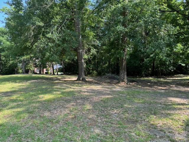 Lot 80 Hunterwood Dr Property Photo 3