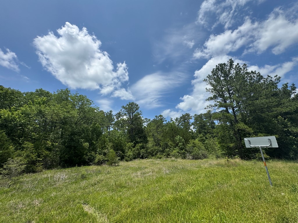 615 East Hwy 63 Property Photo 2