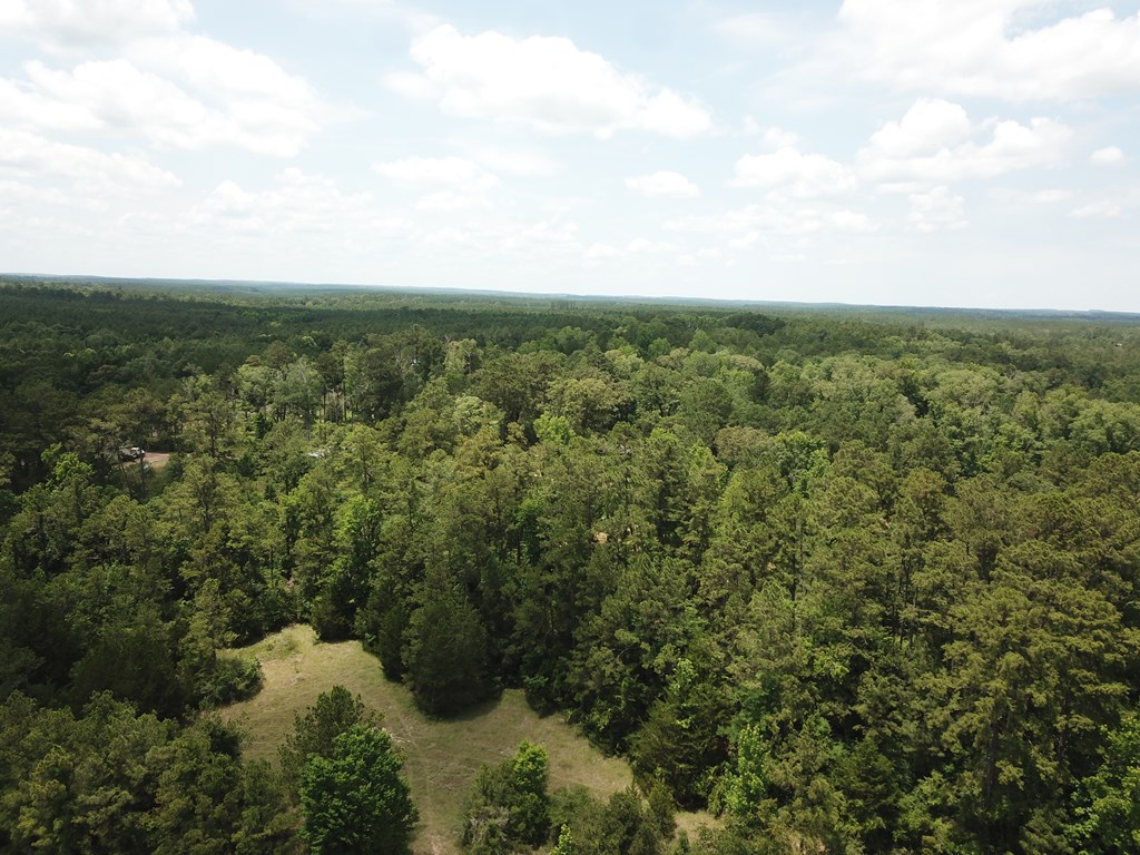 615 East Hwy 63 Property Photo 16