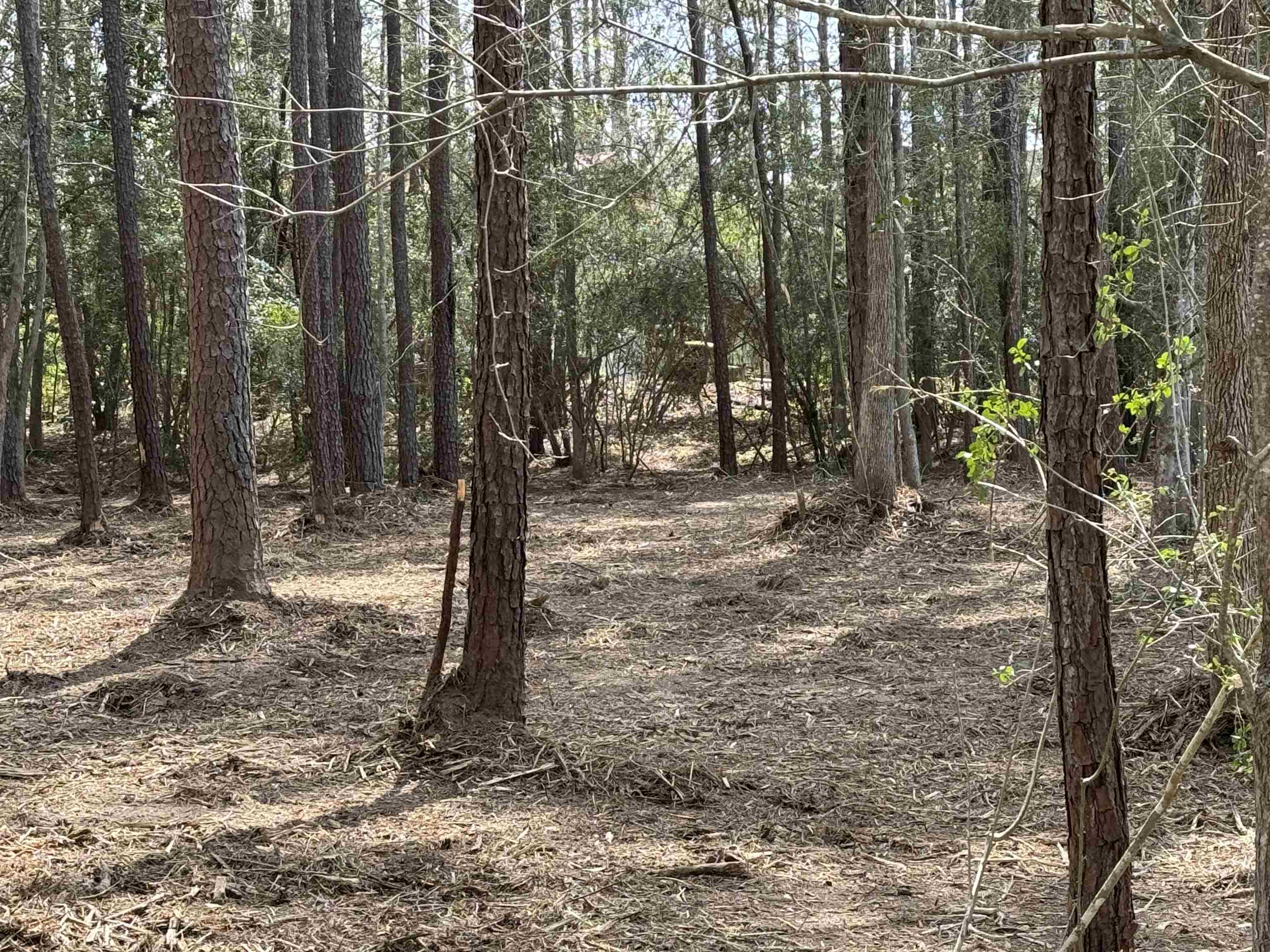 087 Pinehurst Property Photo 1