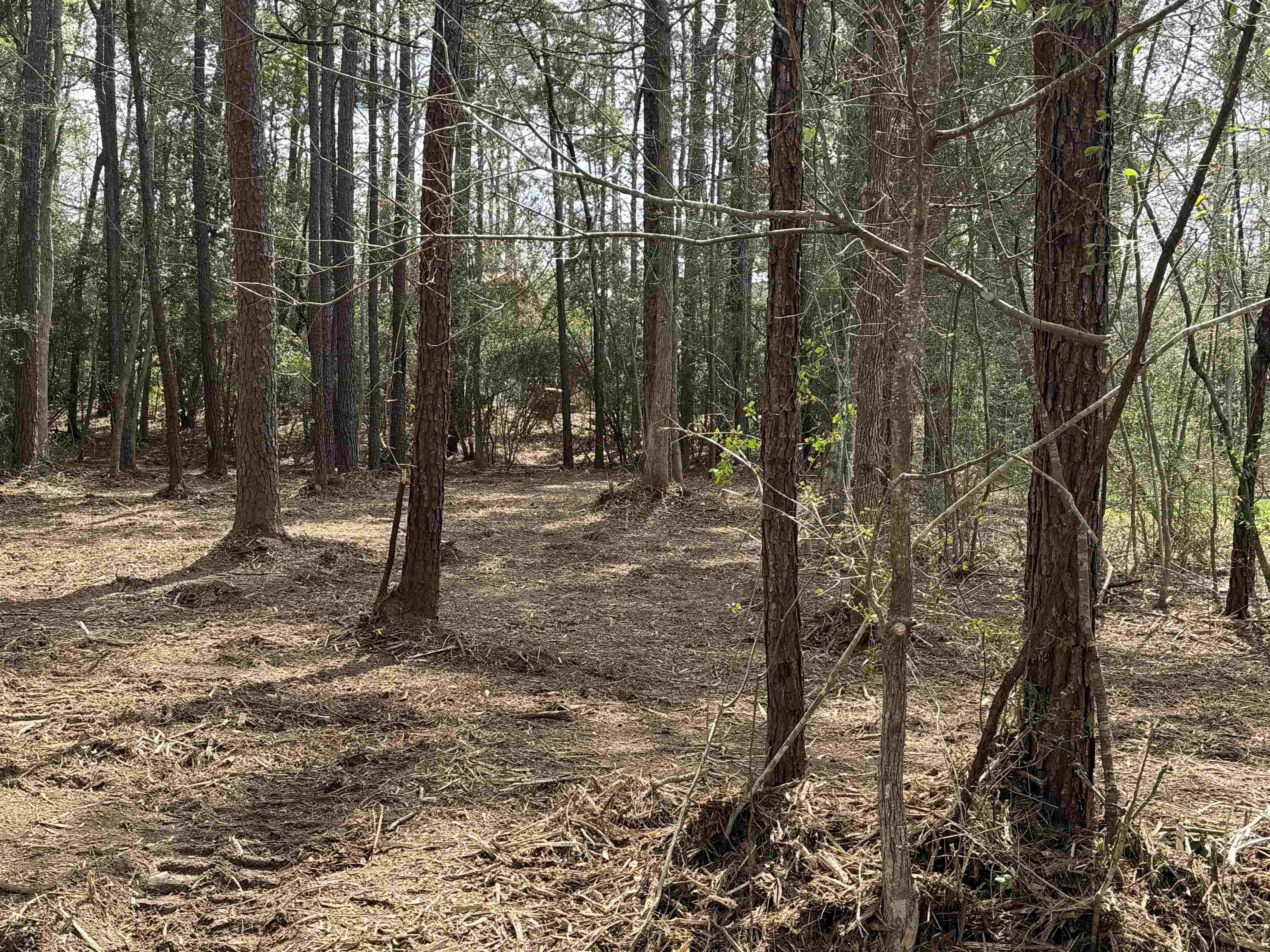 087 Pinehurst Property Photo 3