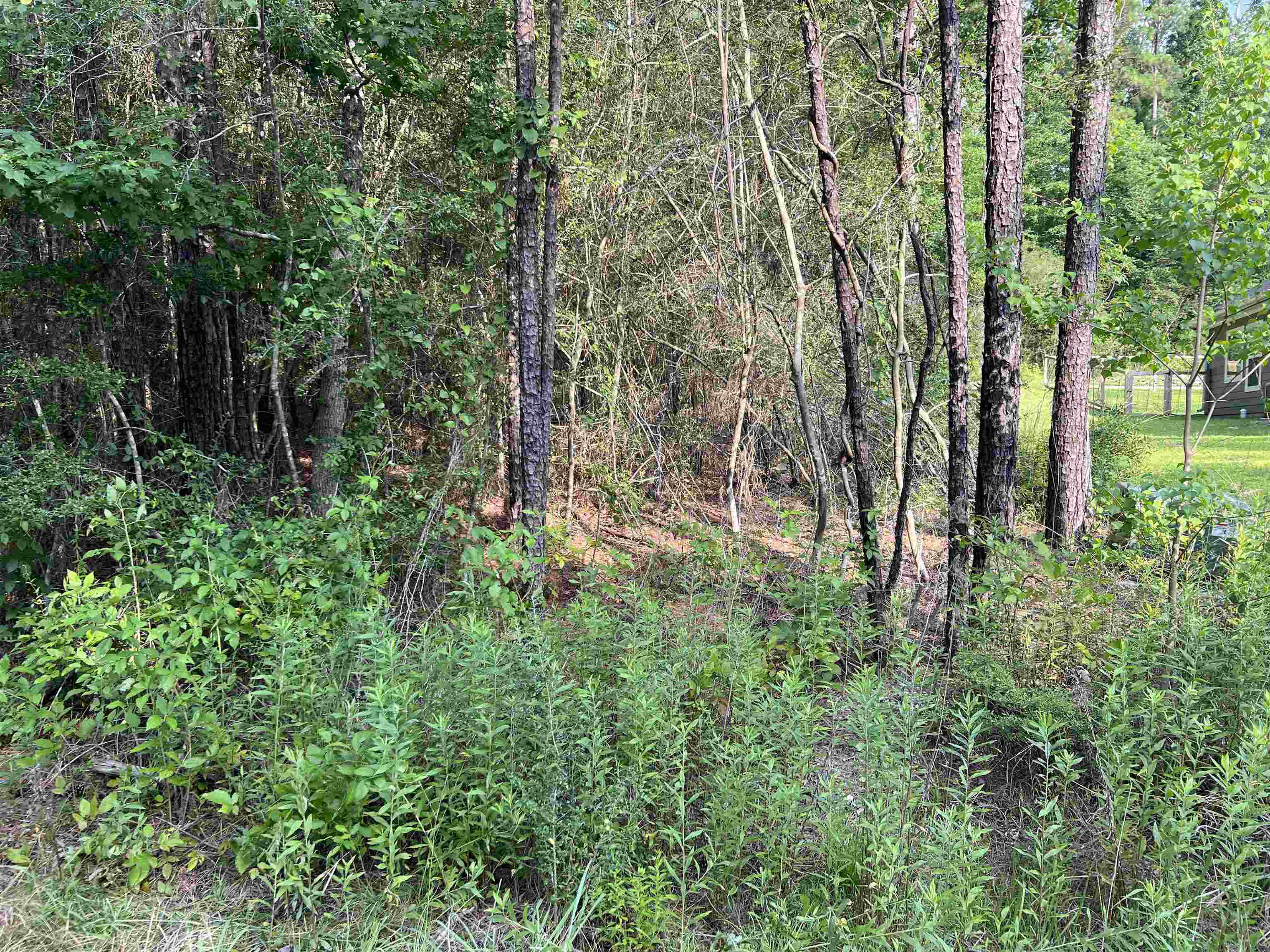 087 Pinehurst Property Photo 6