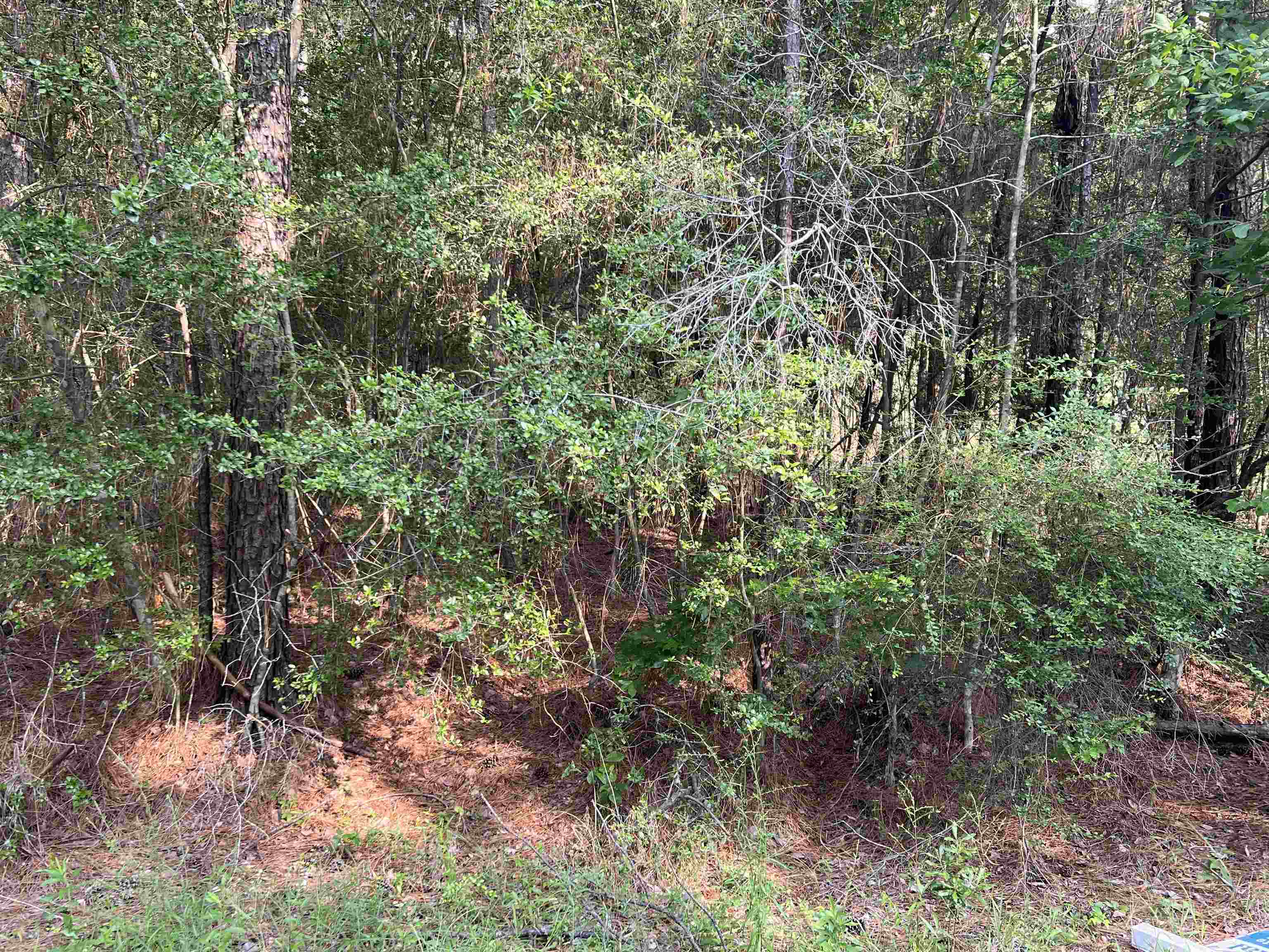 087 Pinehurst Property Photo 8