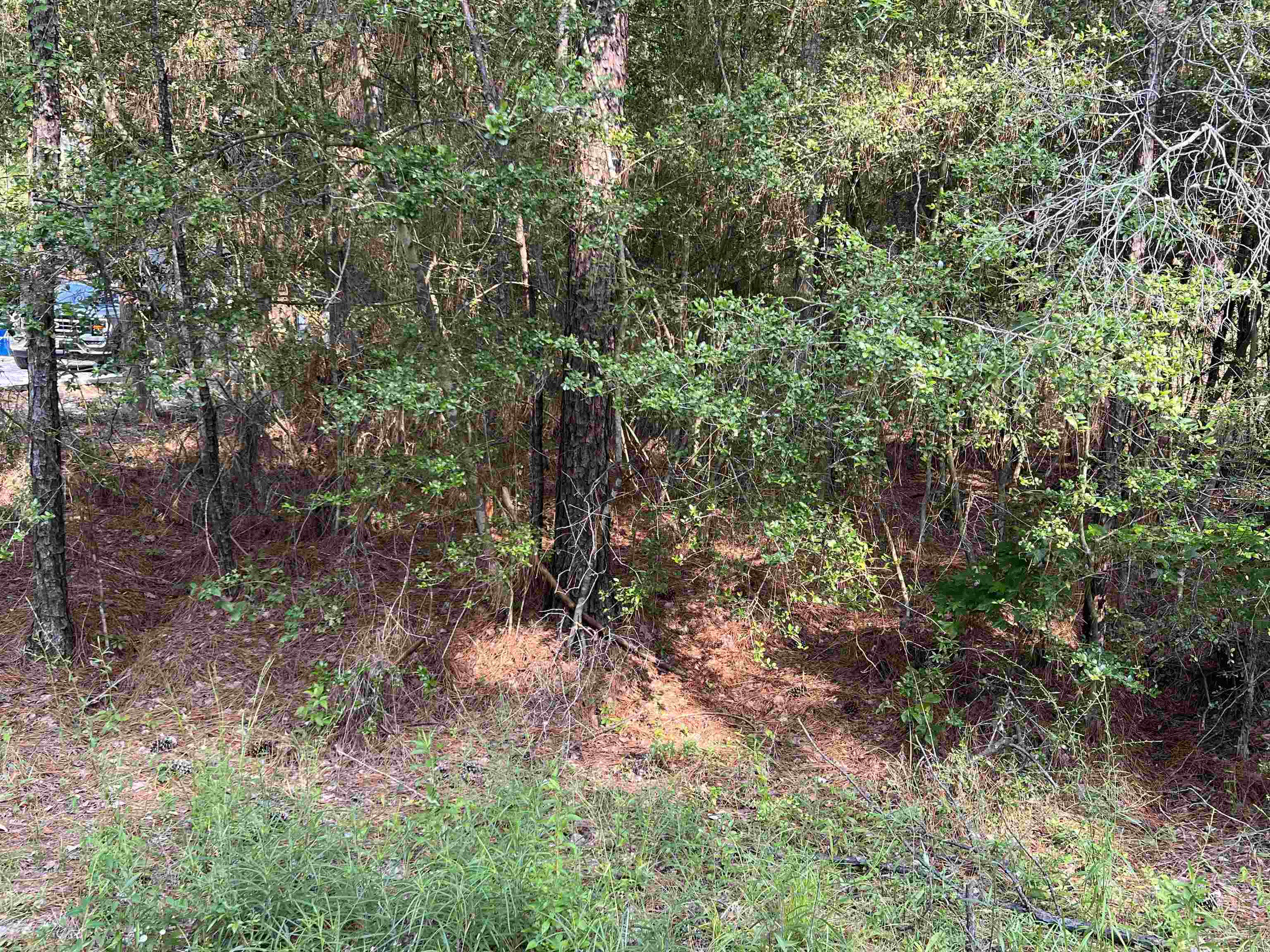 087 Pinehurst Property Photo 9