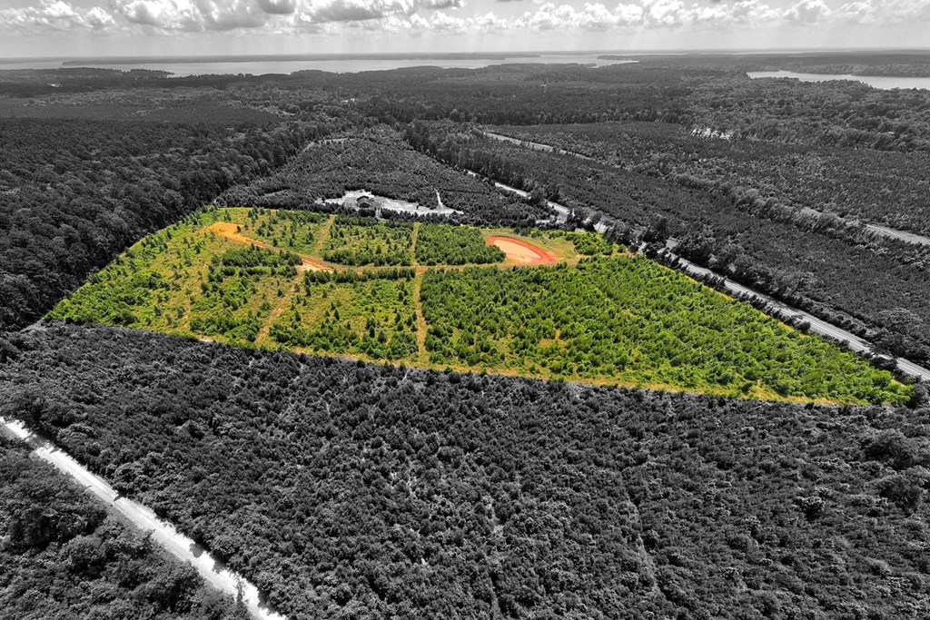 3643 St Hwy 21 E Property Photo 4