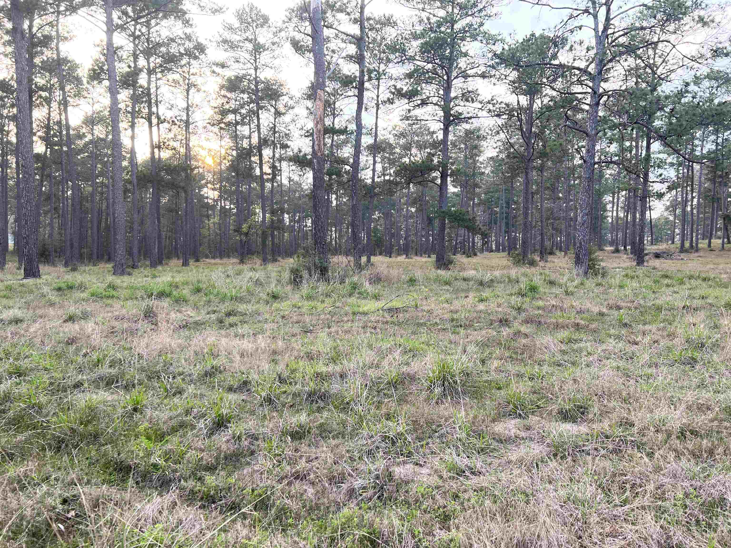 087 Pr 6026 Property Photo 1