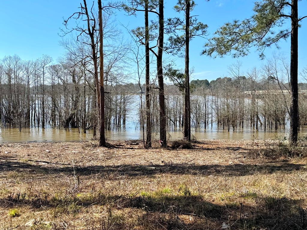 001 Fm 83 Property Photo 1