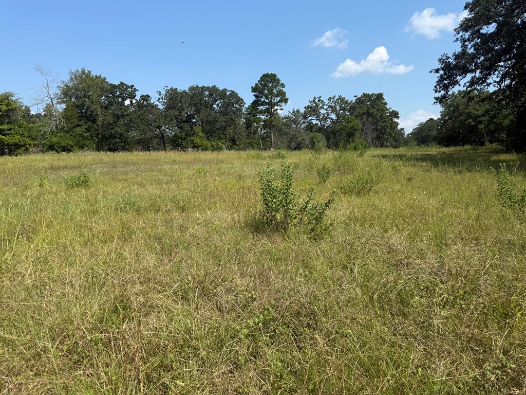 75716 Dolph St Property Photo 1