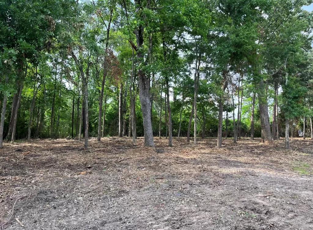 4000 Ellen Trout Drive Property Photo 1