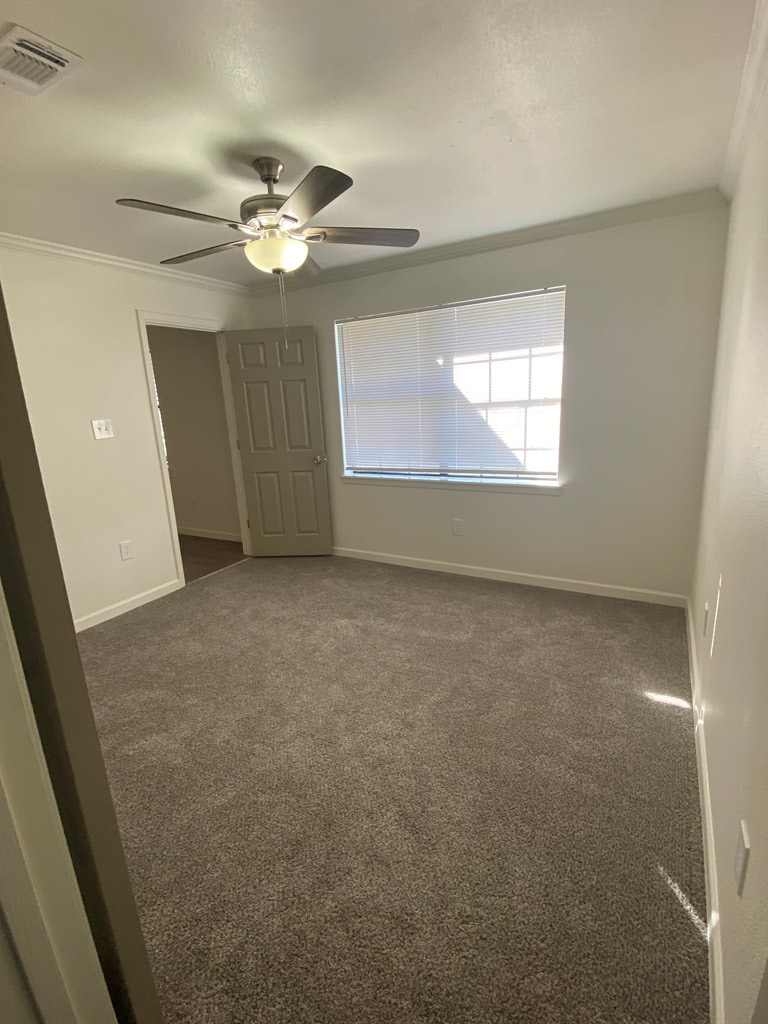 8243 Fm 1669 Property Photo 24