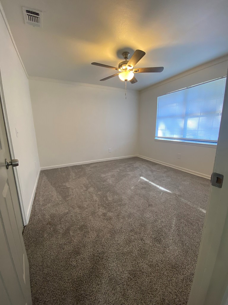 8243 Fm 1669 Property Photo 32